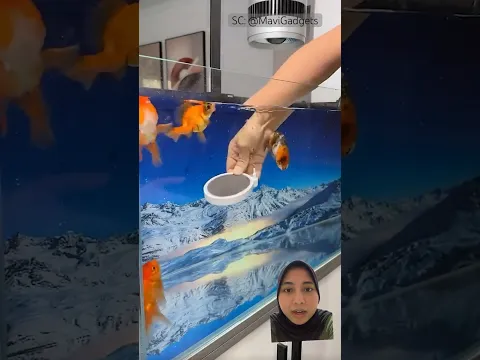 IKAN NYA JADI HAPPY😂