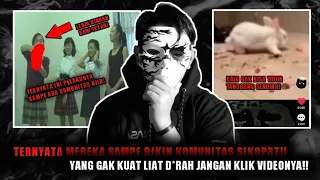 LANJUTAN K4SUS KELINCI PUTIH VIRAL DI TIKTOK