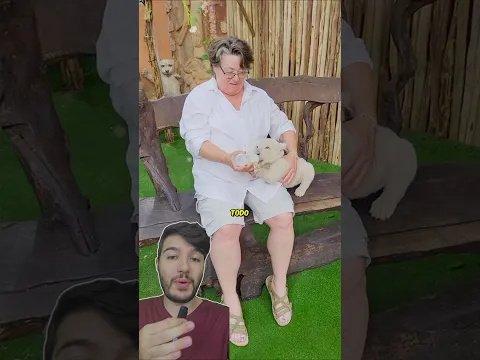 Confundiu o LEÃO com um CACHORRINHO! 😱