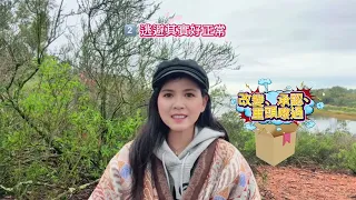 💖《問 Psalm 嗰句》第 5 節 🗺️ 17CC subtitles available, 格物 《逃避現實: Time Isn’t Waiting for You.》