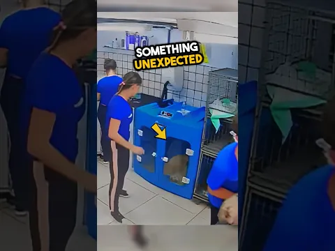 This dog’s mistake turned to something pure 🥹💕 #shorts