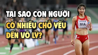 Tại sao cơ thể con người có nhiều chỗ yếu đến vô lý? | THKT 016