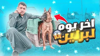 برلين للبيع والسبب .. ؟ 💔