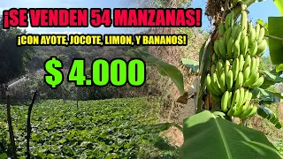 Vendo TERRENO GRANDE $4.000 la manzana, terreno con rio y nacimientos de agua hay arboles frutales