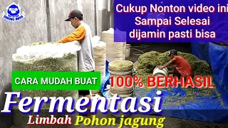 CARA BUAT FERMENTASI PALING MUDAH DAN MURAH DARI LIMBAH POHON JAGUNG PAKAN TERNAK KAMBING SAPI DOMBA