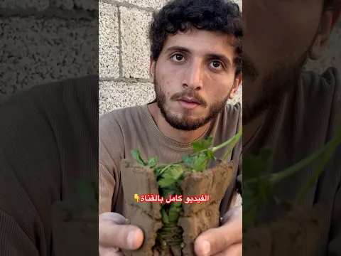 اكبر شكلاتة دبي بالعالم ❗️❌