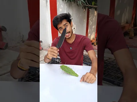 Nopales Cactus Experiment #shorts #experiment