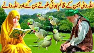 Allah wali ke zalim bhai Tote Ban Gaye aur Allah wale l Allah Walon Ki baten l Allah Wale Ka Waqia