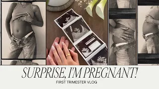Surprise, I'm Pregnant! First Trimester Vlog