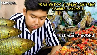 SURVIVAL❗ BERBURU DAN GORENG IKAN [ BETOK ] SAMBAL MERAH DI HUTAN