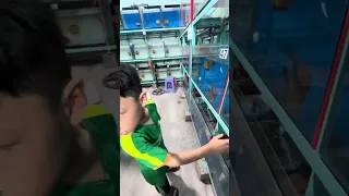 Giới thiệu anh em xem tí cá la hán đầu to - 0919679318