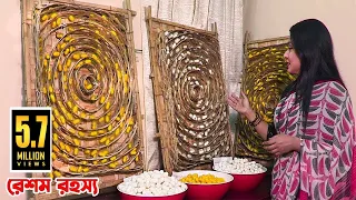 Secret of Making Silk Fabrics from Silk Worm || রেশম পোকা থেকে রেশমি কাপড় তৈরির রহস্য