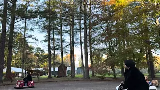 The arrival of autumn:）
