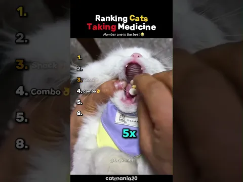 Ranking Cats Taking Medicine💊 #usa