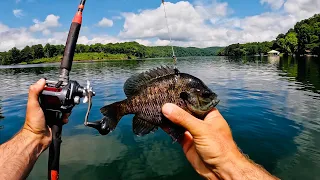 Catfishing for Money - Tennessee River