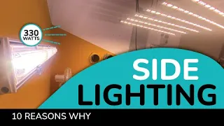 10 Reasons To Use Side Lights in Your Indoor Grow Room