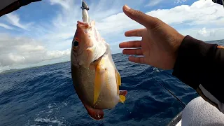 Catching Coral Reef Fish on Softbait | Mauritius EP 13