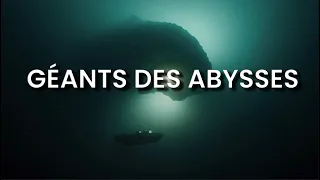 LE GIGANTISME des Abysses, pourquoi les grands fonds engendrent des géants ?