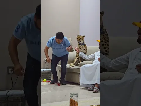 Dangerous Cheetah Attack on My Face | Nouman Hassan |