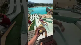 Squishy Monkey Short: The Science Behind the Squeeze
