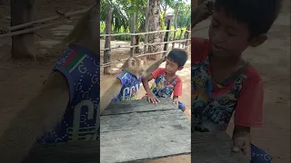 Amazing Video Best SokYaa,OG, Pao & Mom Are Famous Around The World #shorts