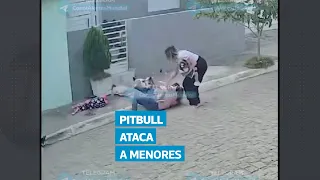 Pitbull ataca a madres e hijas frente a su casa mientras esperaban el transporte escolar en Brasil