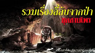 รวมเรื่องลี้ลับจากป่าดงพงไพร ชุดสาบไพร (ฟังเพลินยาวๆกว่า3ชั่วโมง)