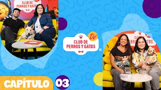 Club de Perros y Gatos TV CAP 03 | Max Salgado | Dra. Alessandra Gasparinni