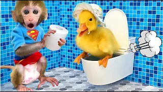 बंदर बेबी बॉन बॉन सर्वश्रेष्ठ वीडियो संकलन^ / Monkey Baby Bon Bon best videos compilation