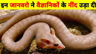पहली बार देखे गए ये जानवर | unusual animal found on the earth |