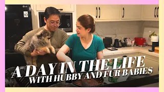 A Day in The Life (with Hubby and Fur Babies!) | CARLA ABELLANA