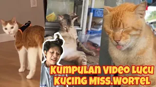 PERANG DUNIAA MASIH BELOM SELESAI!!!!!