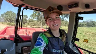 JOGAMOS UREIA NO TRIGO! p1