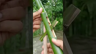 Bamboo creations with Multi Slingshots Shorts using Bamboo