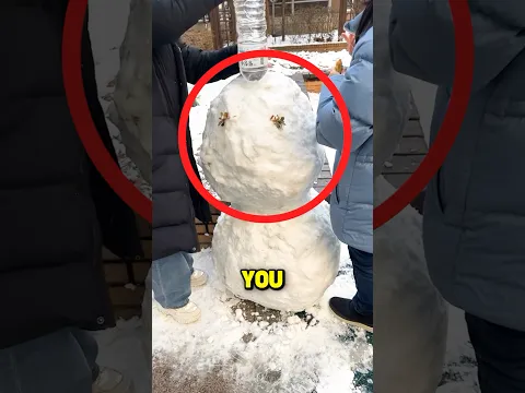 They DID SOMETHING INCREDIBLE with a SNOWMAN!☃️