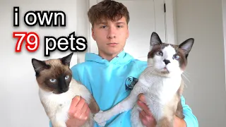 Reviewing My 79 Animals