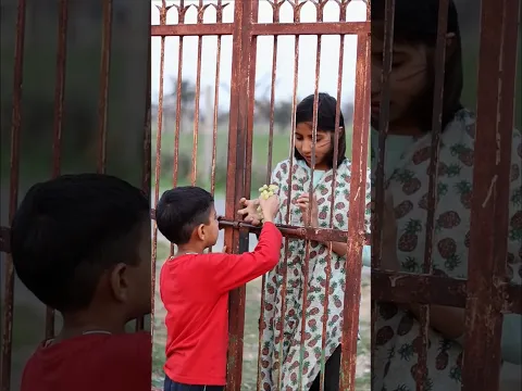 fed grapes 🍇 to the beggar #shorts #viral