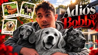 Lo mejor de Odey Gil perros | Maratón de Bobby 🐶 #2