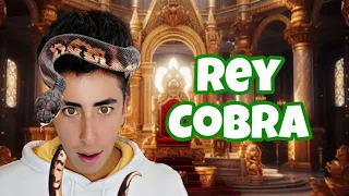 REY COBRA - Mini Serie👑🐍