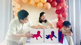 Full video of The Twins Gender Reveal that breaks the internet