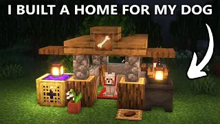 I Built a House for My Homeless Dog