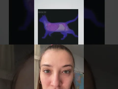 #greenscreen #duet #animals #facts #eyetest #mindgame #elephant #cat #animationart #catvideos