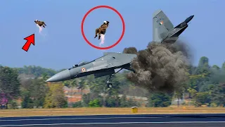 भारतीय वायु सेना का पायलट बनना बच्चो का खेल नहीं ... क्या क्या झेलना पड़ता है देख के दंग रह जायेंगे