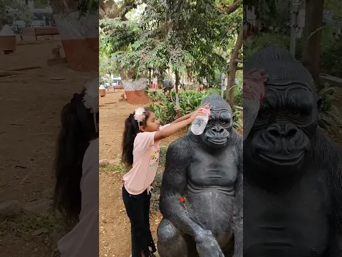 गोरिल्ला को किसीने कीचड़ लगा दिया 😱😭#shorts