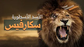 الأسد الأعور الذي أخضع السافانا