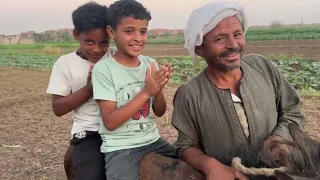 طيران