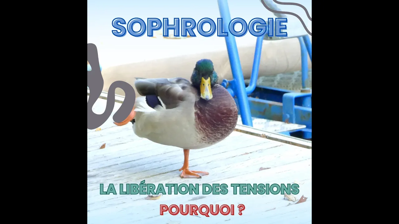 Miniature de la vidéo YouTube: Libération des tensions à l'aide de la sophrologie