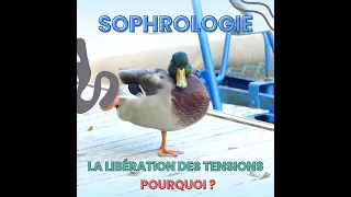 Libération des tensions à l'aide de la sophrologie