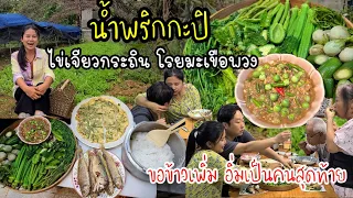 EP.569 น้ำพริกกะปิ ไข่เจียวยอดกระถินโรยมะเขือพวง ปลาทอด ขอข้าวเพิ่ม อิ่มเป็นคนสุดท้าย