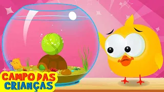 Lucky Ducky e o pote de peixe | Desenho animado divertido por Campo das Crianças